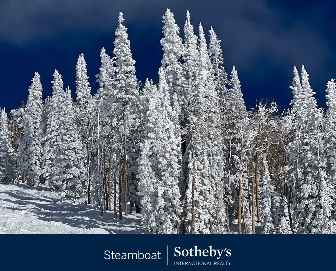 Sotheby’s Market Report